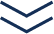 aa